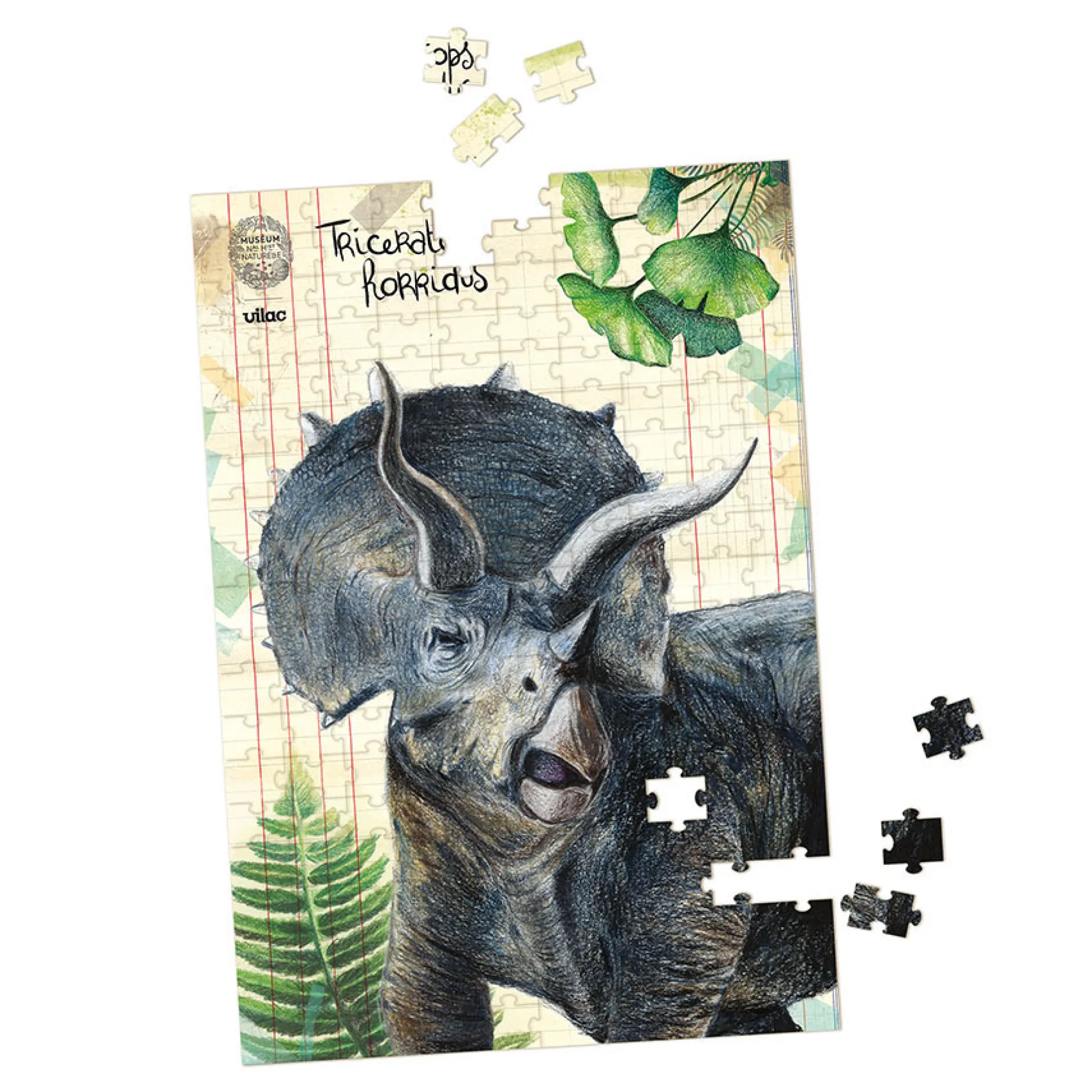 Coffret de 3 puzzles dinosaures avec posters