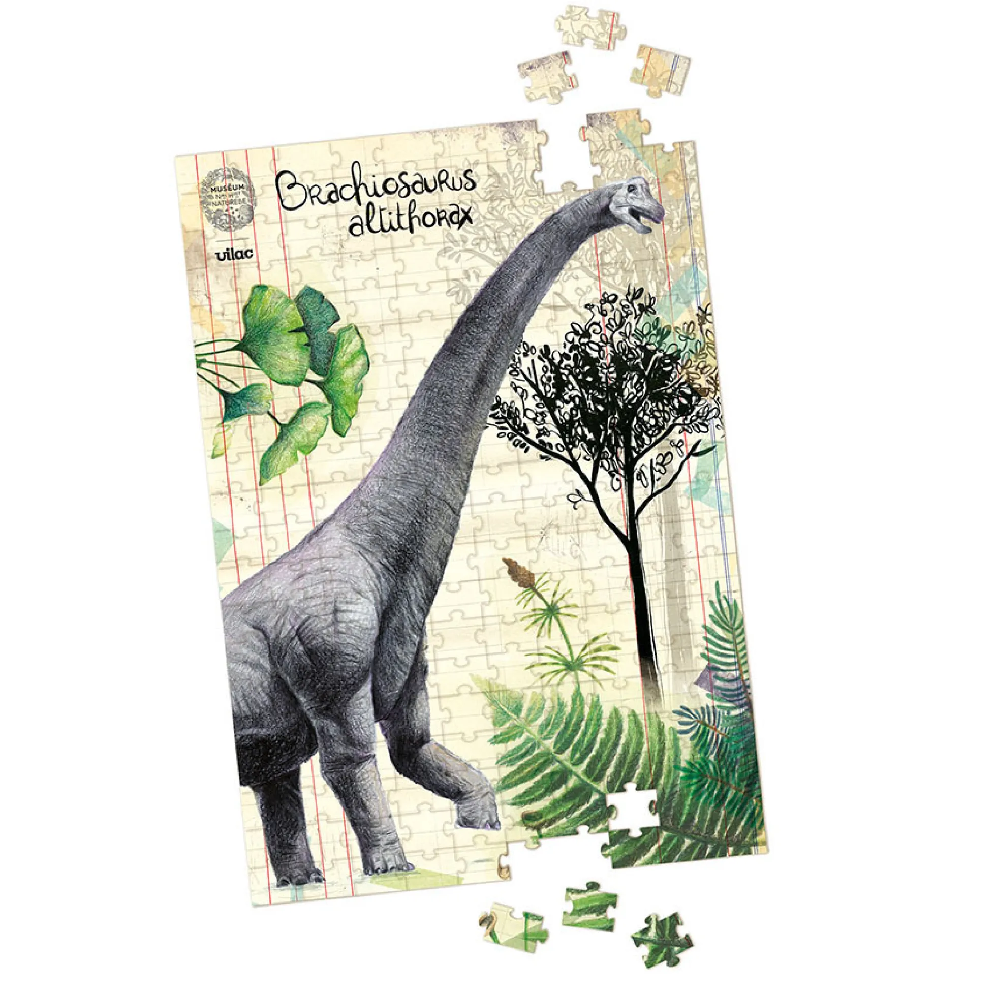 Coffret de 3 puzzles dinosaures avec posters