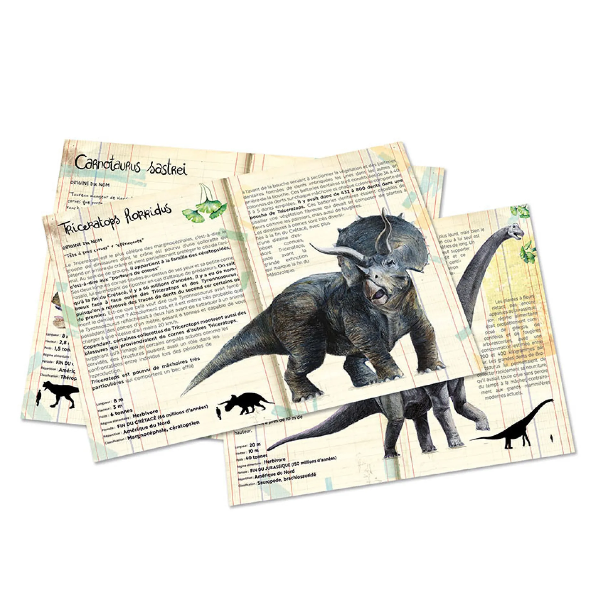 Coffret de 3 puzzles dinosaures avec posters