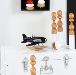 Hydravion noir