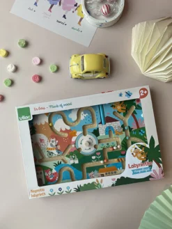 Labyrinthe magnétique en bois, Animaux rigolos - Michelle Carlslund