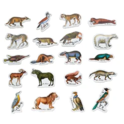 Magnets zoologiques de Buffon - Muséum national d'Histoire naturelle