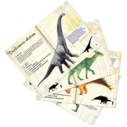 Set de 21 magnets dinosaures - Muséum national d'Histoire naturelle